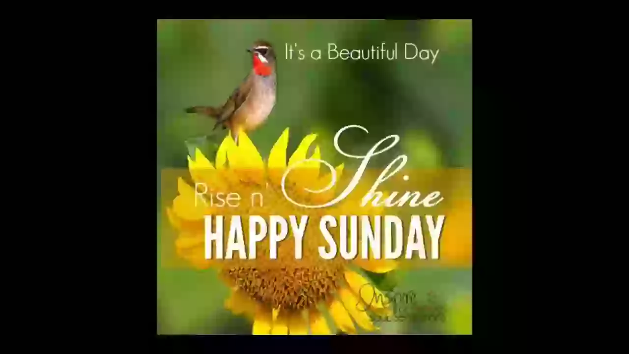 Happy And Cool Sunday Greeting Video