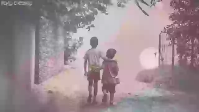 Happy Brothers Day Wish Video Download