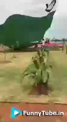 Happy Republic Day 2018 GIF