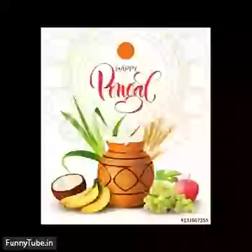 Happy Pongal 2019  Whatsapp Status Video Download