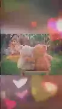 Happy Teddy Day Full Screen Whatsapp Status Video