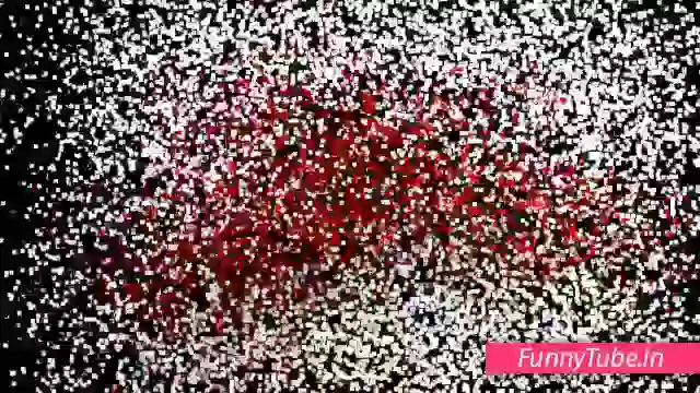 Happy Valentines Day 2019 Status Video