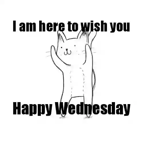 Happy Wednesday Good Morning GIF Status