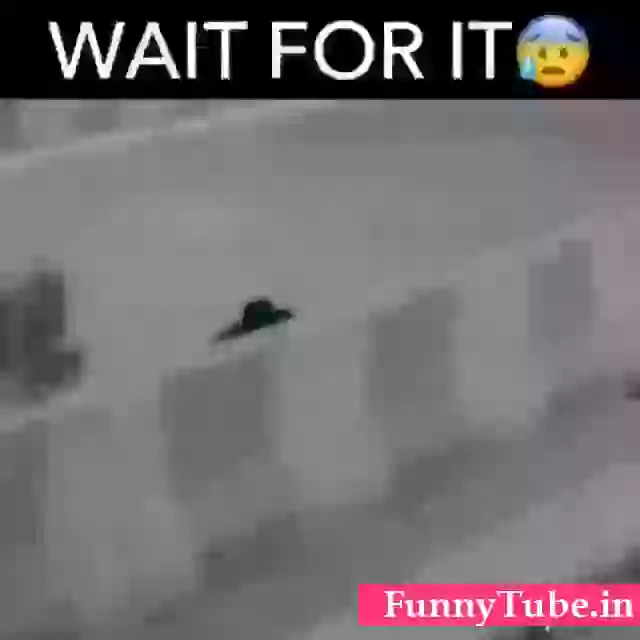 Horrible Birthday Wish For Love Prank Status Video