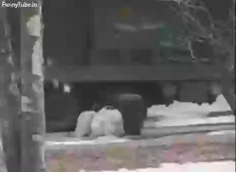 Choti kaatne wala mil gaya funny GIF