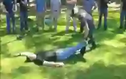 How to pickup humans GIF