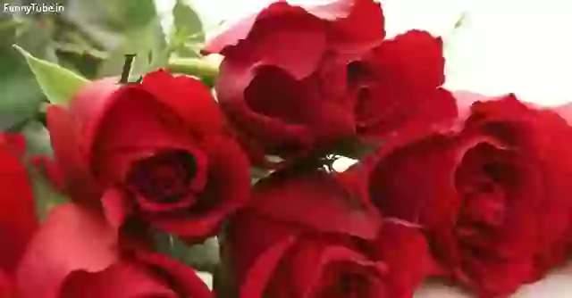 I Love You Sweetheart Special Whatsapp Video