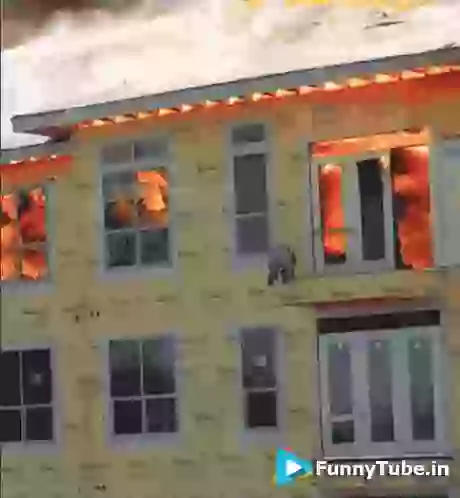 I Was Almost Die Last Lucky Moment Of Life