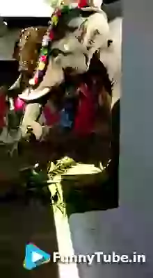 Instant karma funny indian HATHI prank