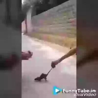 Jaisi Karni Waisi Bharni Live Example