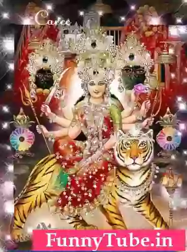 Perfect Good Evening GIF For Whatsapp