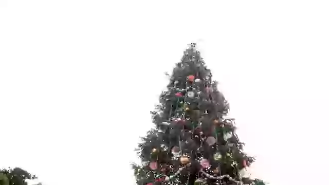 Jingle Bells Bhagra Style Christmas Celebration