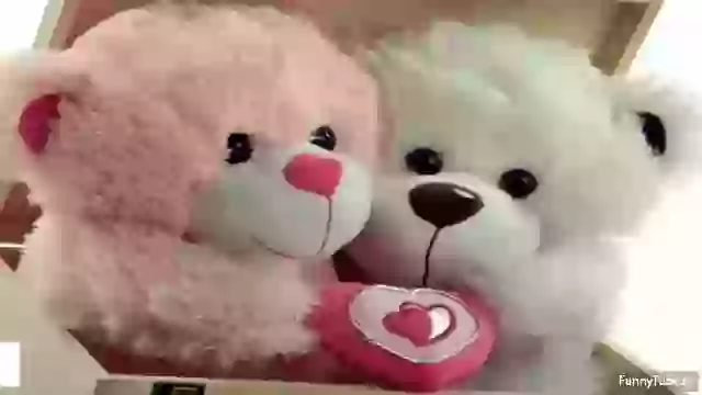 Latest Good Morning Wishes And Quotes Video