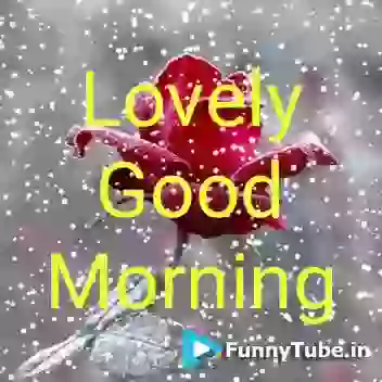 Lovely Morning GIF