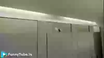 Mad About Selfie Fun