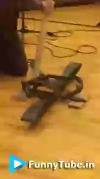 Man Is Punching Bear Trap Crazy Video