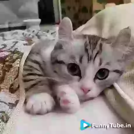 Me In Navaratri After Garaba Play