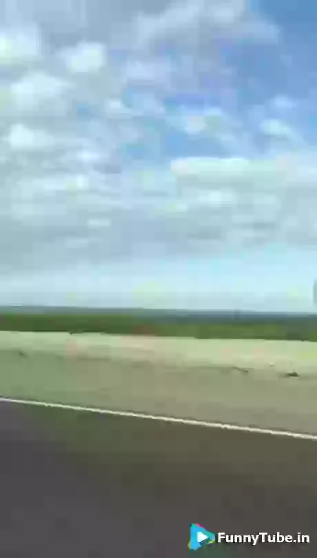 OMG This Is Called Overloaded Funny GIF