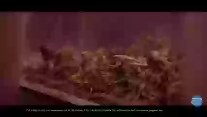 Pollution In India Look At It