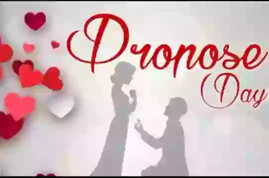 Propose Day Whatsapp Status Download 2019