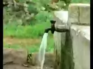 Save water