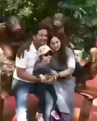 Selfie With Monkey Funny Whatsapp Video Download
