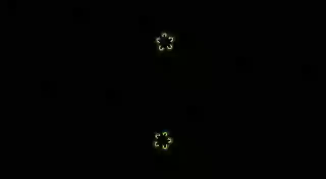 Happy Diwali Wish Whatsapp Video HD