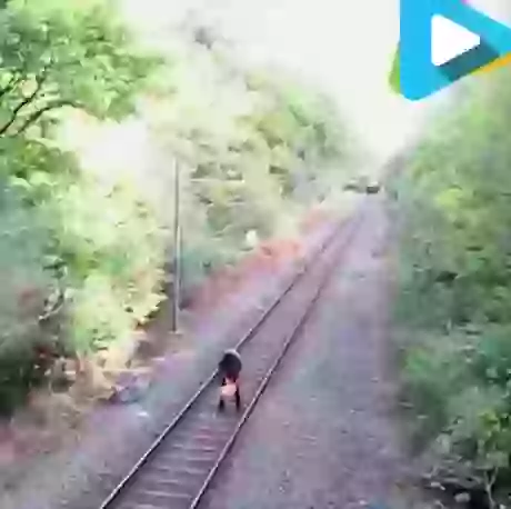 Thanks To That Worker