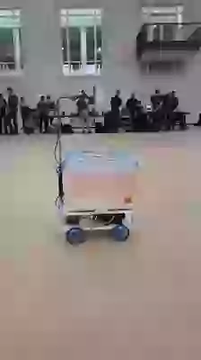 The Fish Is Driving This