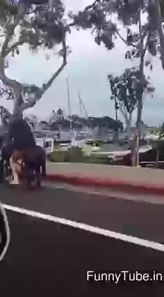 This Is Amazing Affordable Horse