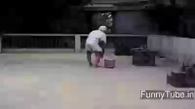 Thousands of parrots alltogether amazing