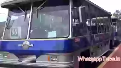 Universal Stud 3D Bus Ride Video