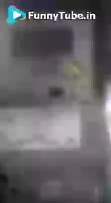 Waah Indian Vidhyut Vibhag Waah