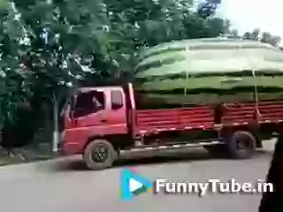 Water Melon For Whatsapp Group